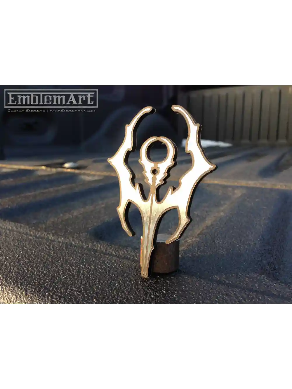 Custom Chrome Emblems - Bones02 Emblem
